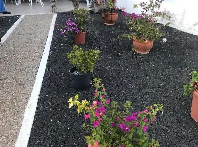 Casa Maiakai Casa de Férias